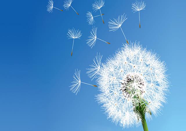 幼兒園、中小學(xué)等教育培訓(xùn)機(jī)構(gòu)安裝單向流新風(fēng)系統(tǒng)方案